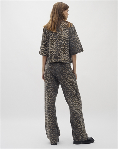 Cadian Jeans - Global F
